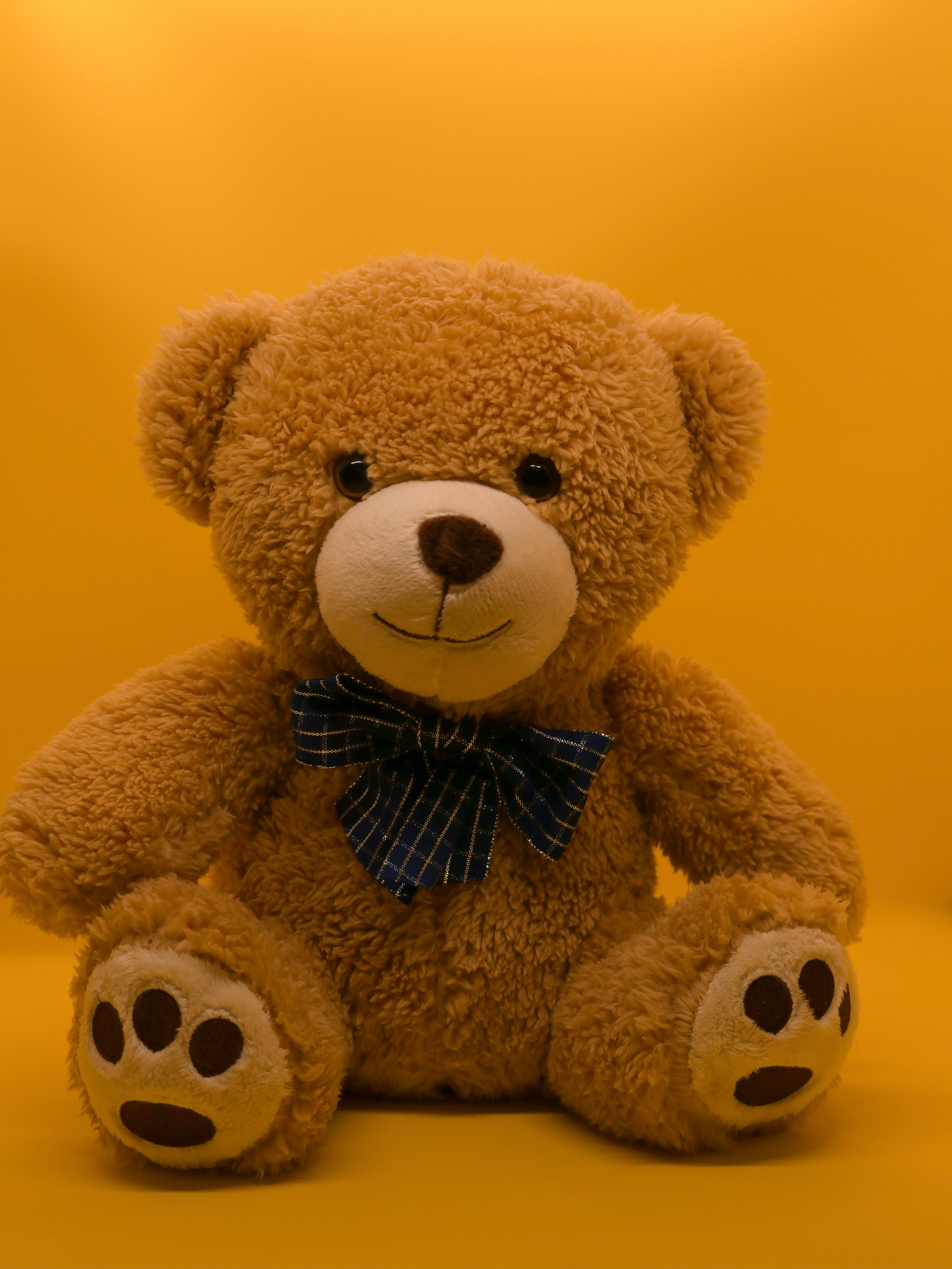 tedy bear